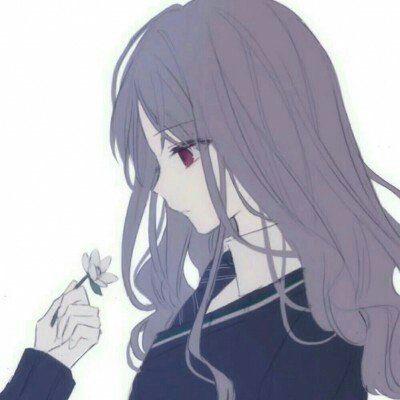 11月新规来了